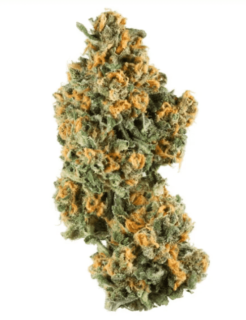 Top shelf DC cannabis buds available for same day delivery