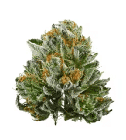 Bubba Kush
