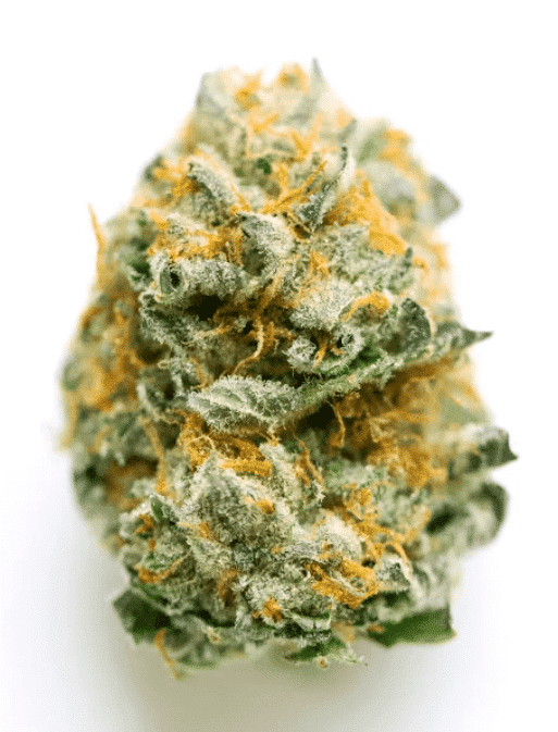Jet Fuel Gelato