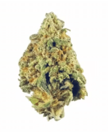 El Chapo OG