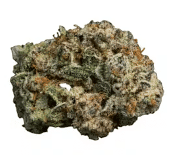Cannaster Og