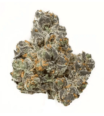 Apple Fritter