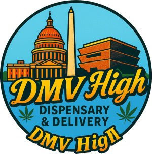 DMV HIgh